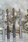 Fully Ground, HSS Straight Shank Twist Drill -Screw Machine Length