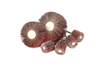 Abrasive Flap Wheels Set, Assorted 40/60/80/120 Grit(3Pcs Each), 2 X 1 X 1/4inch