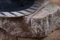 Segmented Metal/Stainless Diamond Saw Bladee
